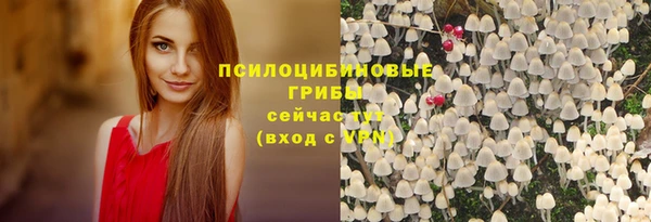СК Арсеньев
