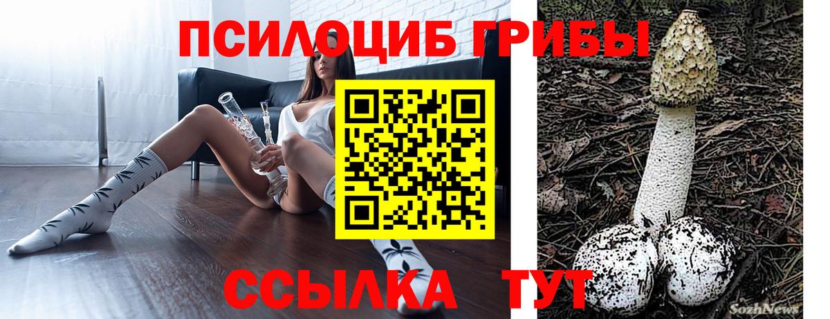 Галлюциногенные грибы Psilocybine cubensis  купить наркотик  Сургут  Вход с VPN  Галлюциногенные грибы прущие грибы 
