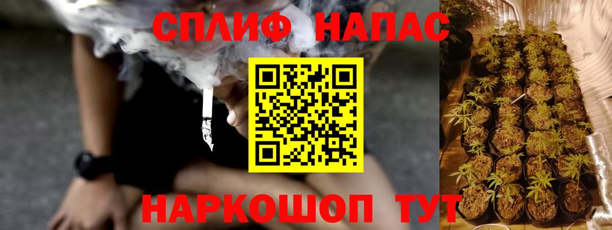 Каннабис марихуана Сургут